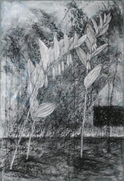 Salomonssiegel